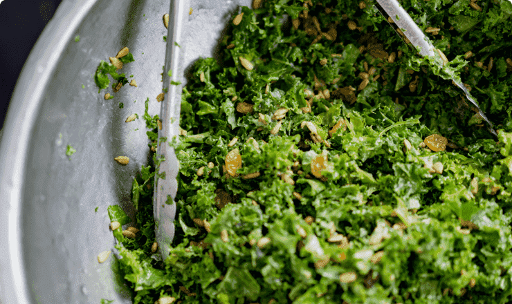 Honey Bee Meals